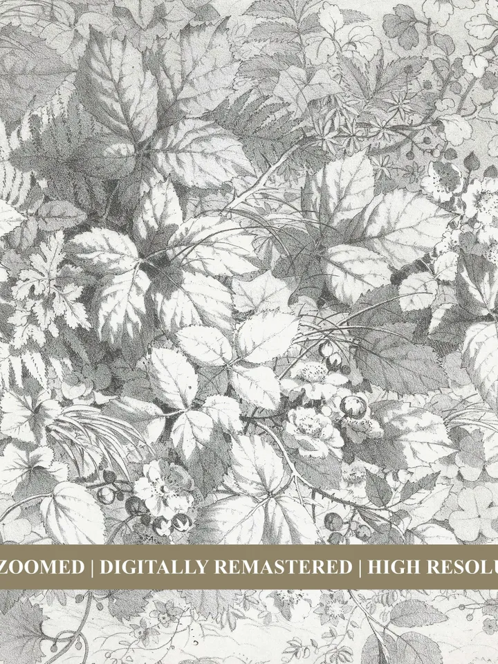 Antique Botanical Sketch, Neutral Kitchen Wall Art, Vintage Floral Printable Decor, Digital Downloadable | 256