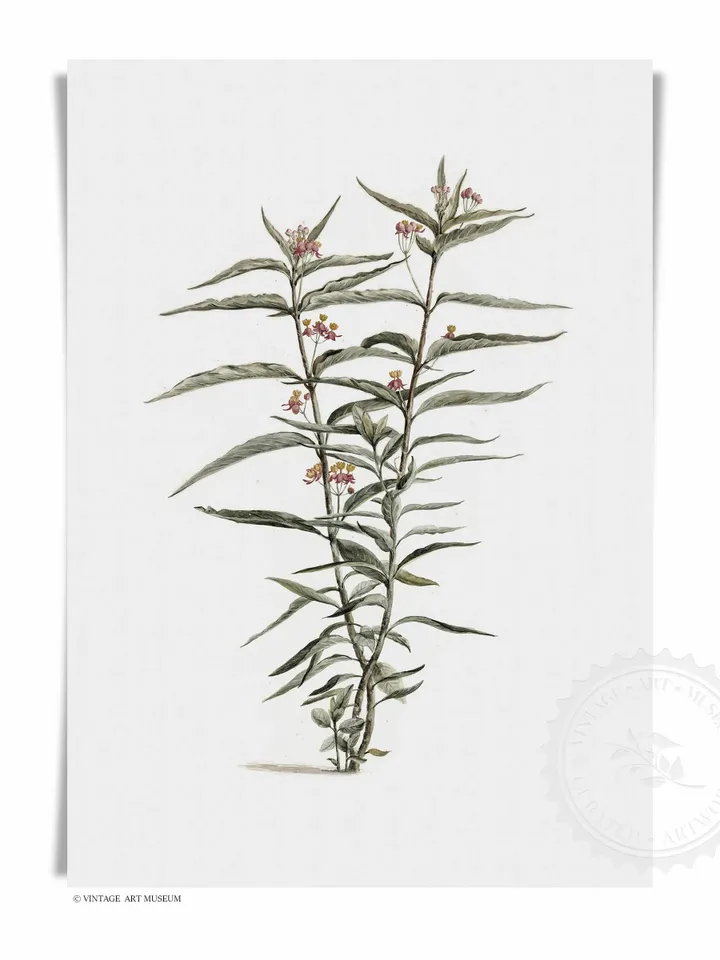 Antique Botanical Print Set of 3, Vintage Flower Painting, Printable Rustic Farmhouse Wall Art Decor | 397 S3