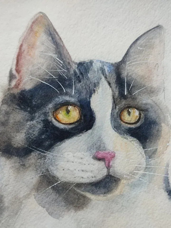 Cat painting white kitty artwork original watercolor art pet portrate white spotted cat