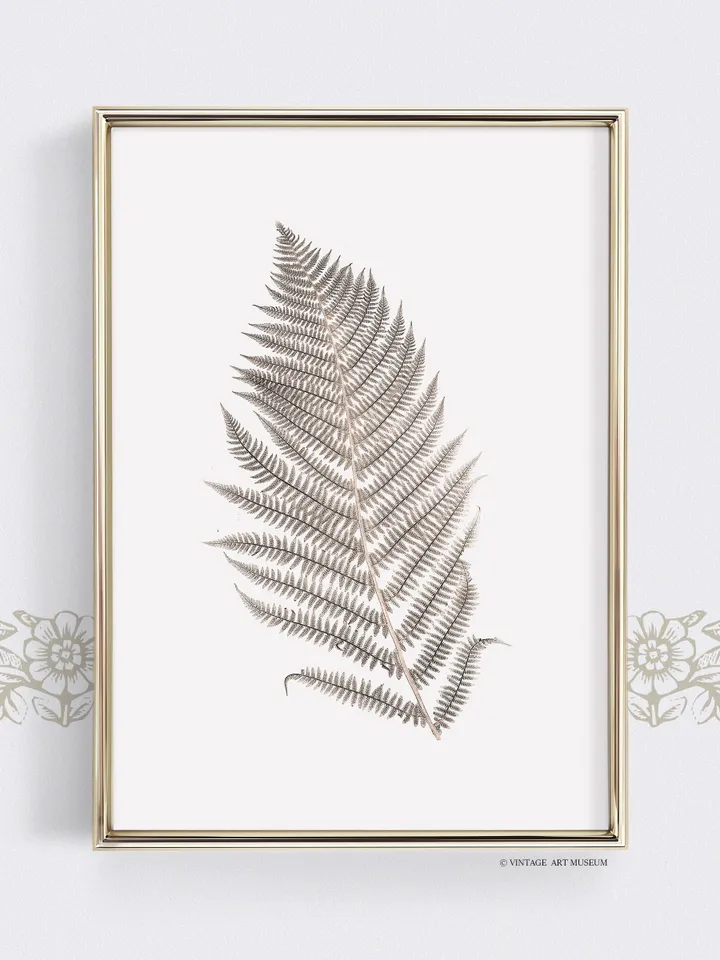 Vintage Fern Leaf Botanical Art, Printable Farmhouse Wall Art For Living Room | 337