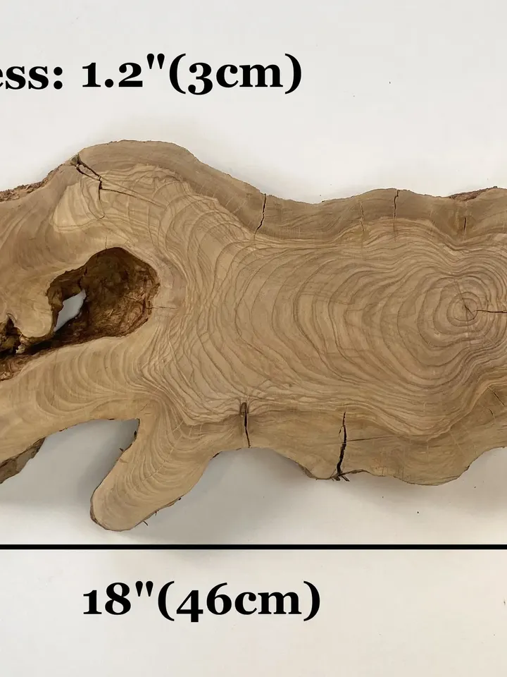 Live Edge Round Olive Wood Slab, 18"x9"x1.2" Epoxy Resin Wood, Burl Wood, Tree Slice
