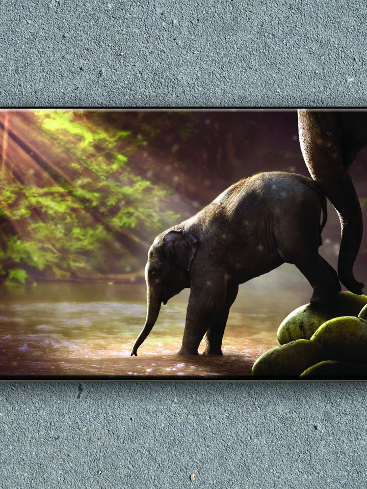 Baby Elephant Print on Canvas , Floating Frame Option, Modern Wall Art, Extra Large Canvas Wall Art
