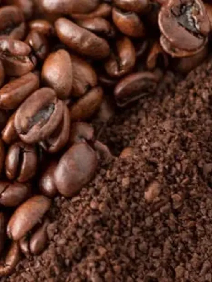 Arabica Coffee Armenia Demitasse Ground