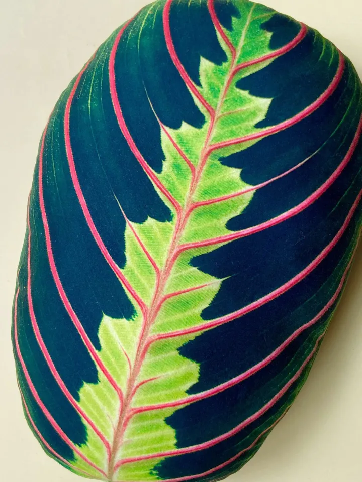 Maranta pillow / Maranta leaf / plant gift / prayer plant / plant pillow/ leaf pillow / plant lover gift / plant print