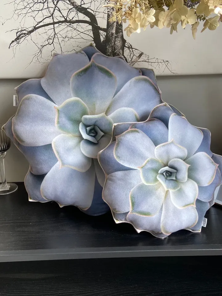 small Succulent pillow / echeveria pillow / plant pillow / succulent cushion / grey echeveria