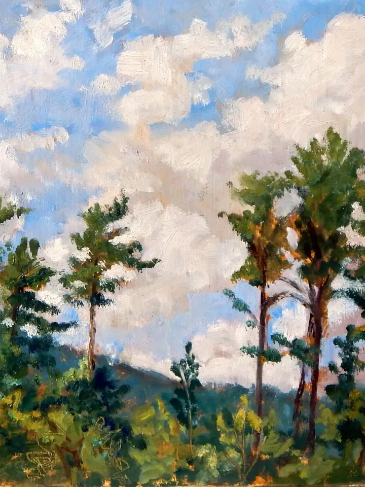 Original Tanglewood Landscape Painting - Tall Pines Blue Sky - 11x12 Oil on Panel, Plein Air Impressionist Oil, Signed Contemporary Fine Art