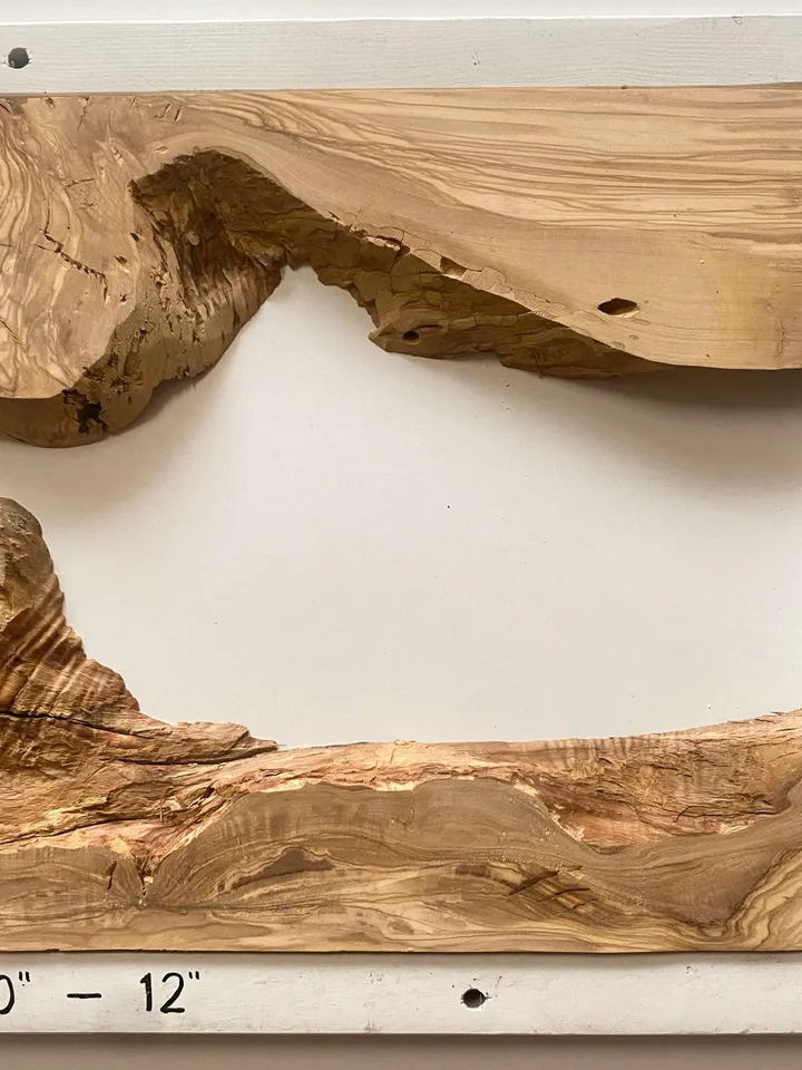 Olive Wood Cookies, Epoxy Resin Wood, Live Edge Wood Slab, Raw Edge Wood Slab, READY TO SHIP