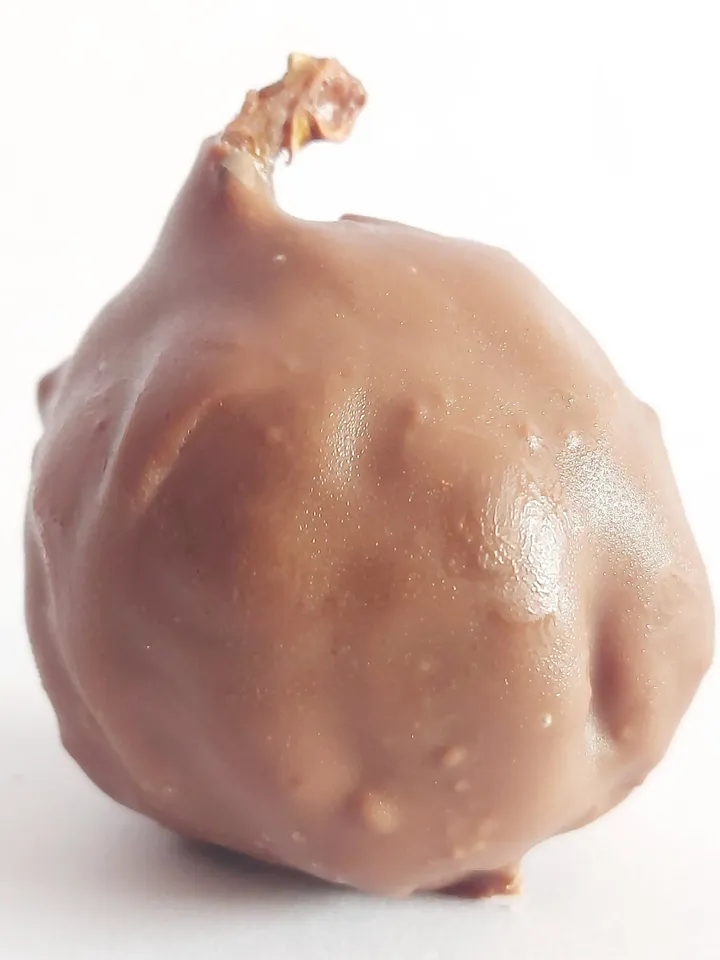 Homemade Gourmet Stuffed and Coated Figs | Filled & Chocolate Coated Figs | Healthy Gift Box