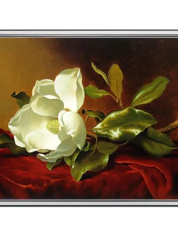 Flower Print on Canvas , Floating Frame Option, Modern Wall Art, Extra Large Canvas Wall Art