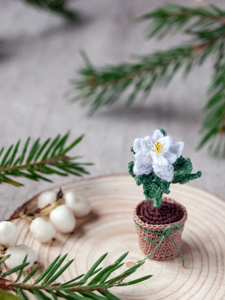 Christmas houseplant Poinsettia, Miniature potted flower, Christmas gift idea Crochet tiny plant, Christmas floral decor