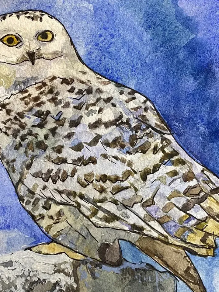 Original Painting Owl Art Watercolor bird art Hand Painted Animal Wall Decor