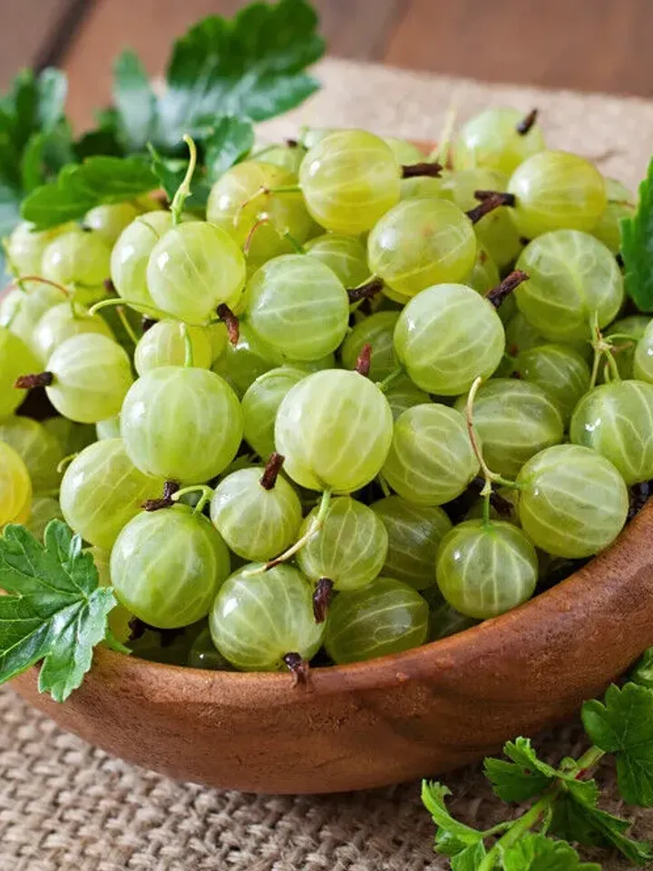 Gooseberry (Ribes uva-crispa) Dried Berry 1000 gr ( 35.27oz )