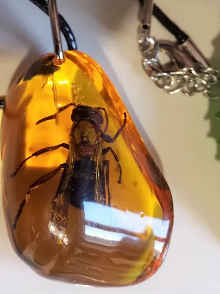 Real insect Bee necklace Honey Amber Resin necklace jewelry Amulet Nature necklace jewelry handmade yellow gold pendant