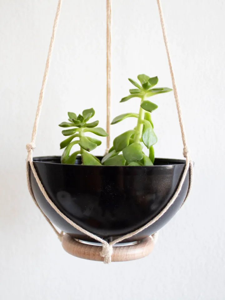 Mini Succulent Planter, Small Plant Hanger, Wall Hook For Hanging Plants, Aluminum Planter, Wall Plant holder, Small Plant Hanger