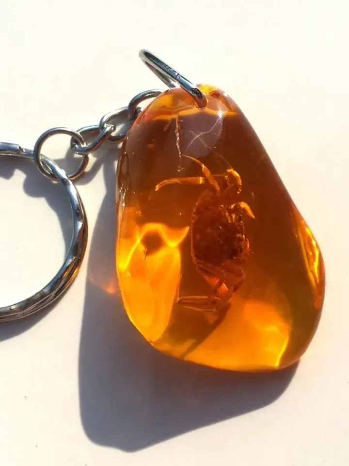 Real Crab in Amber Resin Cancer Pendant Necklace Amulet necklace Animal jewelry gift children birthday gift cancer