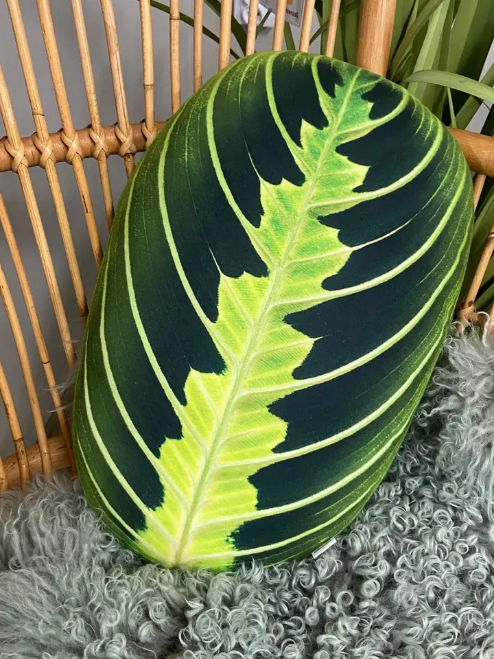 Maranta Lemon Lime pillow / maranta pillow / prayer plant / Maranta leuconeura / plant pillow / leaf pillow / maranta cushion