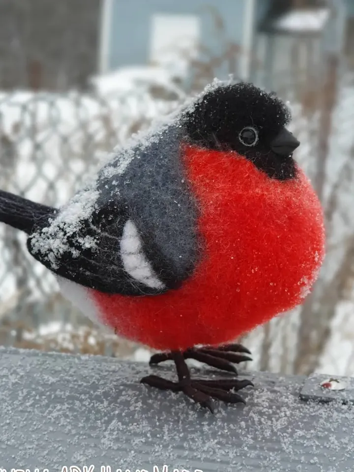 Bullfinch. Natural wool figurine needle felting bird. OOAK art felting birdie