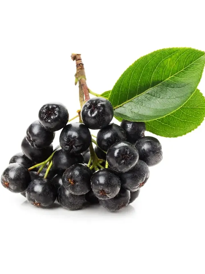 Aronia chokeberry ( Aronia melanocarpa) sublimated powder 1000g ( 35.27 oz)