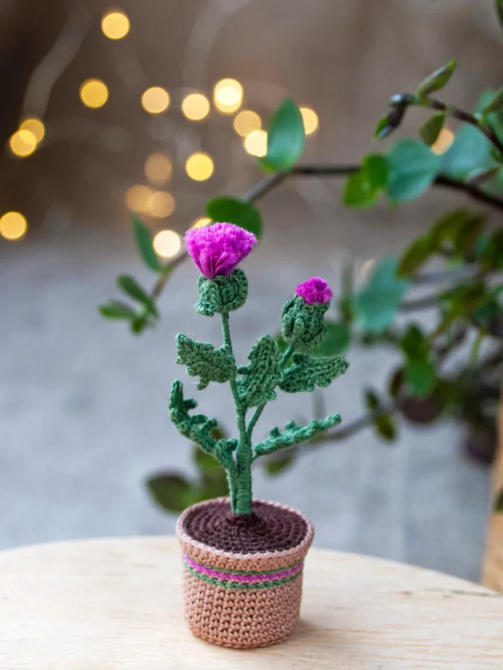 Crochet THISTLE in a pot, Scottish Thistle flowers, Fairy garden miniature, Flower present, Thank you gift, Meaning gift