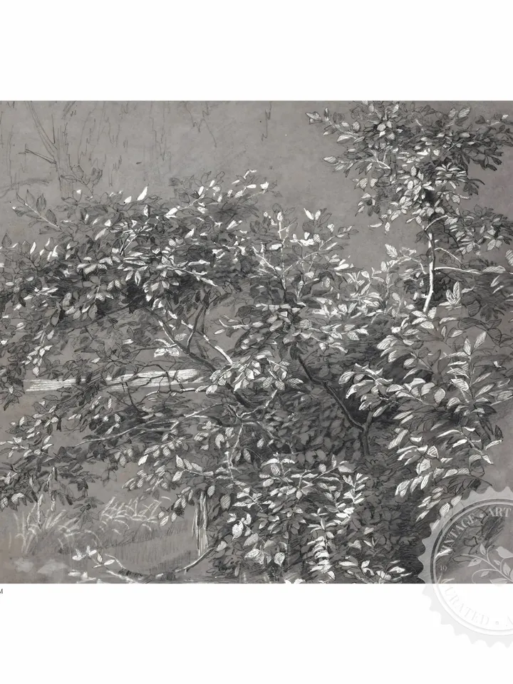 Branched Tree Dark Sketch Antique Drawing, Vintage Kitchen Wall Art Decor, Printable Downloadable | 290