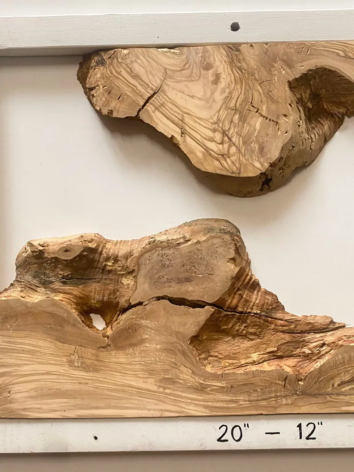 Olive Wood Cookies, Epoxy Resin Wood, Live Edge Wood Slab, Raw Edge Wood Slab, READY TO SHIP