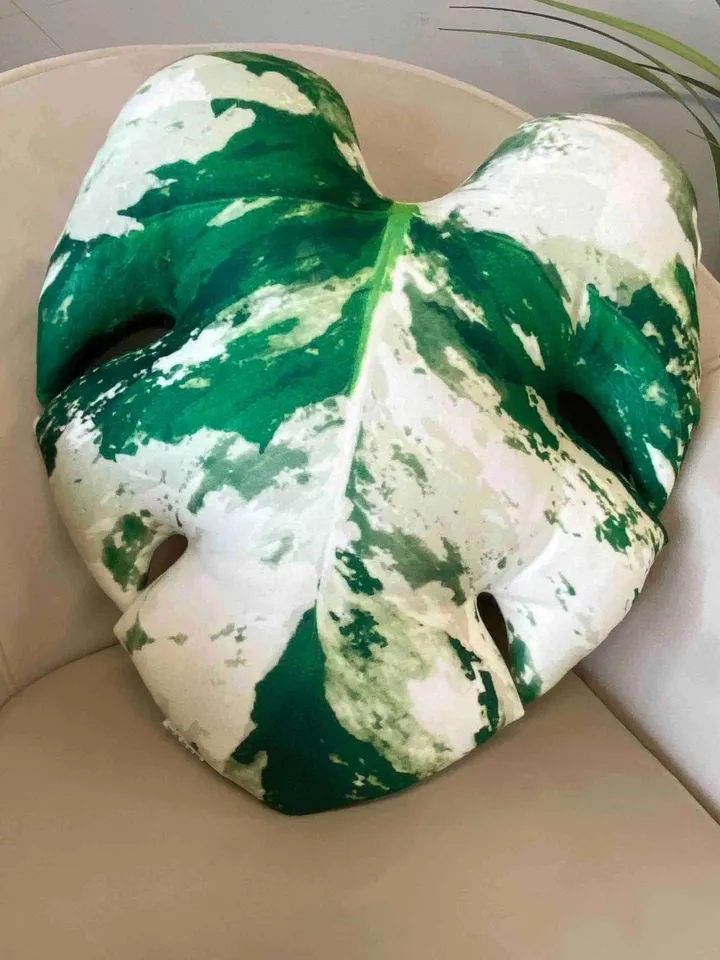 Variegated Monstera pillow / monstera leaf pillow / monstera variegata plant / albo monstera / variegata monstera cushion / plant pillow