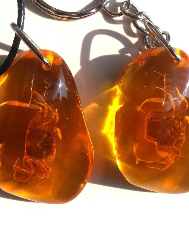 Real Crab in Amber Resin Cancer Pendant Necklace Amulet necklace Animal jewelry gift children birthday gift cancer