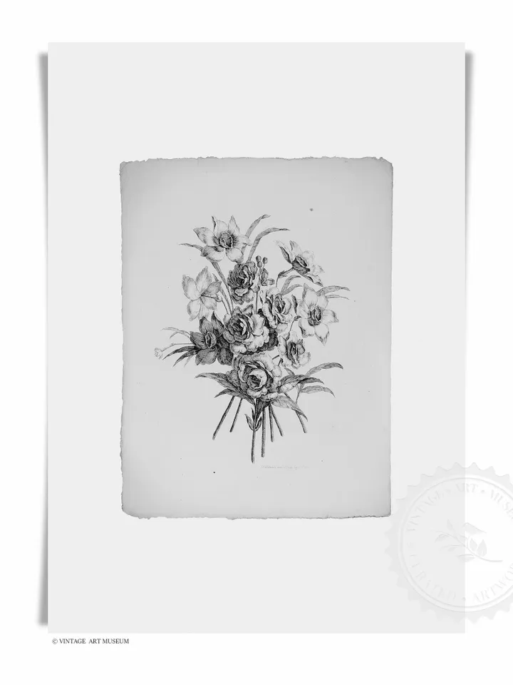 Botanical Sketches Gallery Wall Set of 6 Vintage Prints, Floral Downloadable Printable Art, French Decor | S6-1