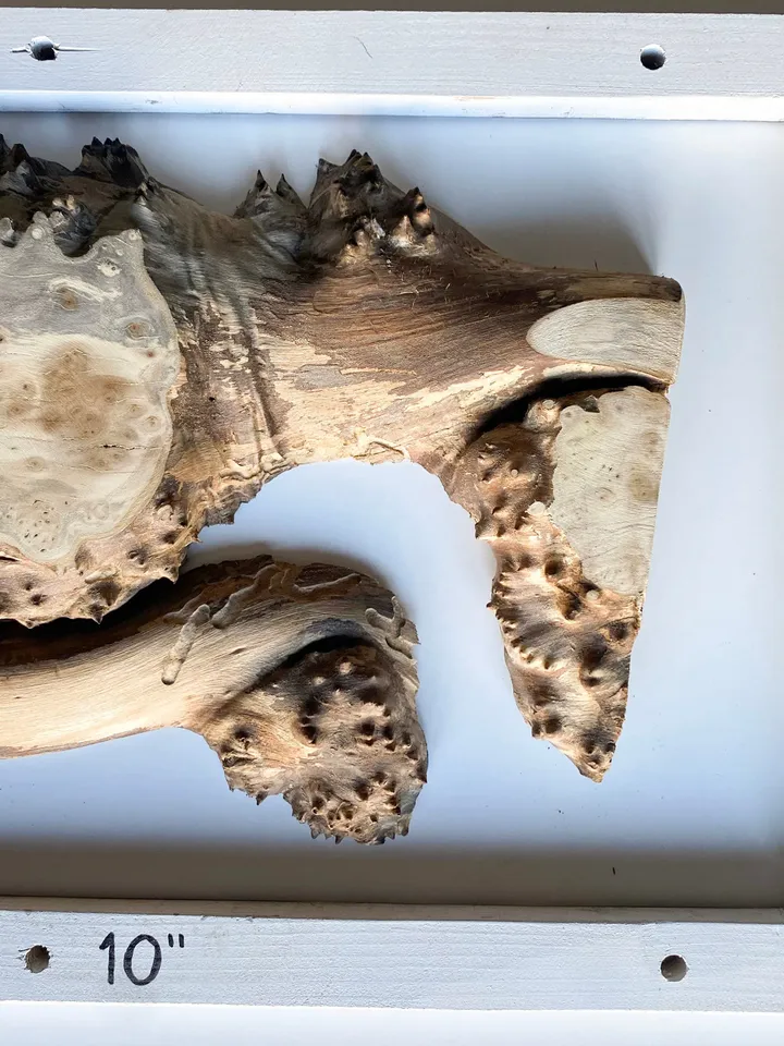 Silverberry Wood Blank Slab, Live Edge Wood Slab, Epoxy Resin Wood, Raw Edge Wood