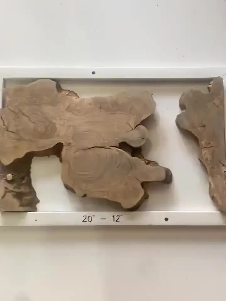 Olive Wood Cookies, Epoxy Resin Wood, Live Edge Wood Slab, Raw Edge Wood Slab, READY TO SHIP