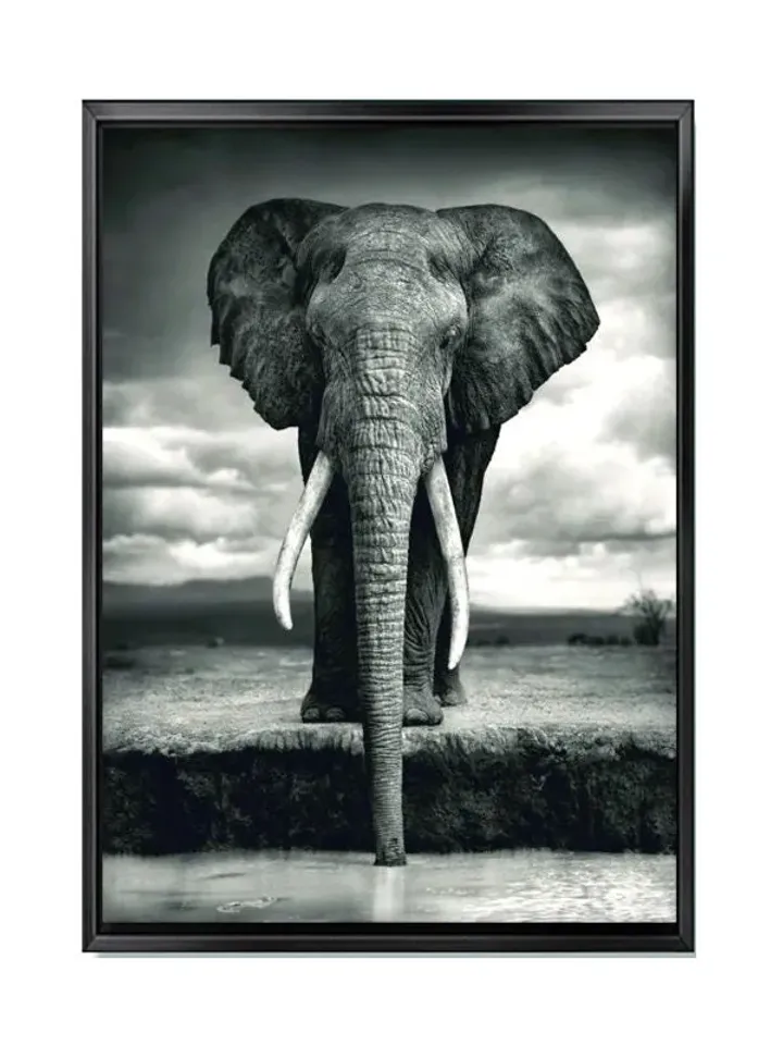 Elephant Print on Canvas , Floating Frame Option, Modern Wall Art, Extra Large Canvas Wall Art