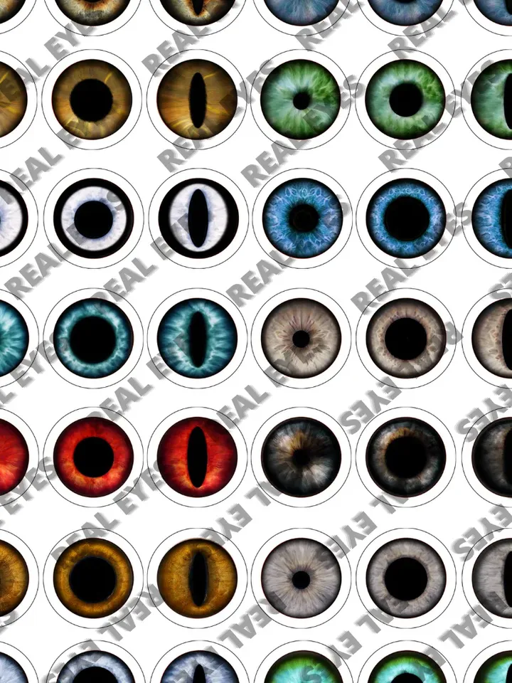 Doll Eyes, Realistic Irises Download, Digital eyes Collage, Sheets Printable, Realistic Eyes , Blythe Doll Eyes