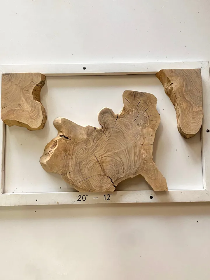 Olive Wood Cookies, Epoxy Resin Wood, Live Edge Wood Slab, Raw Edge Wood Slab, READY TO SHIP