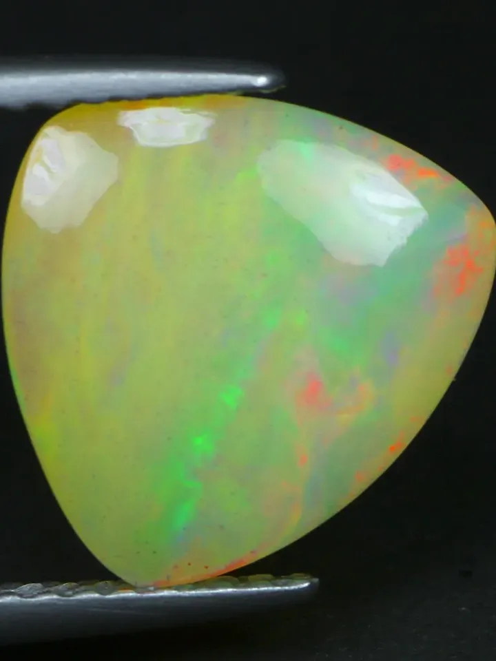 3.46 CT World Class ! 360 Degree 3d Floral Harlequin Rainbow Welo Rainbow Opal