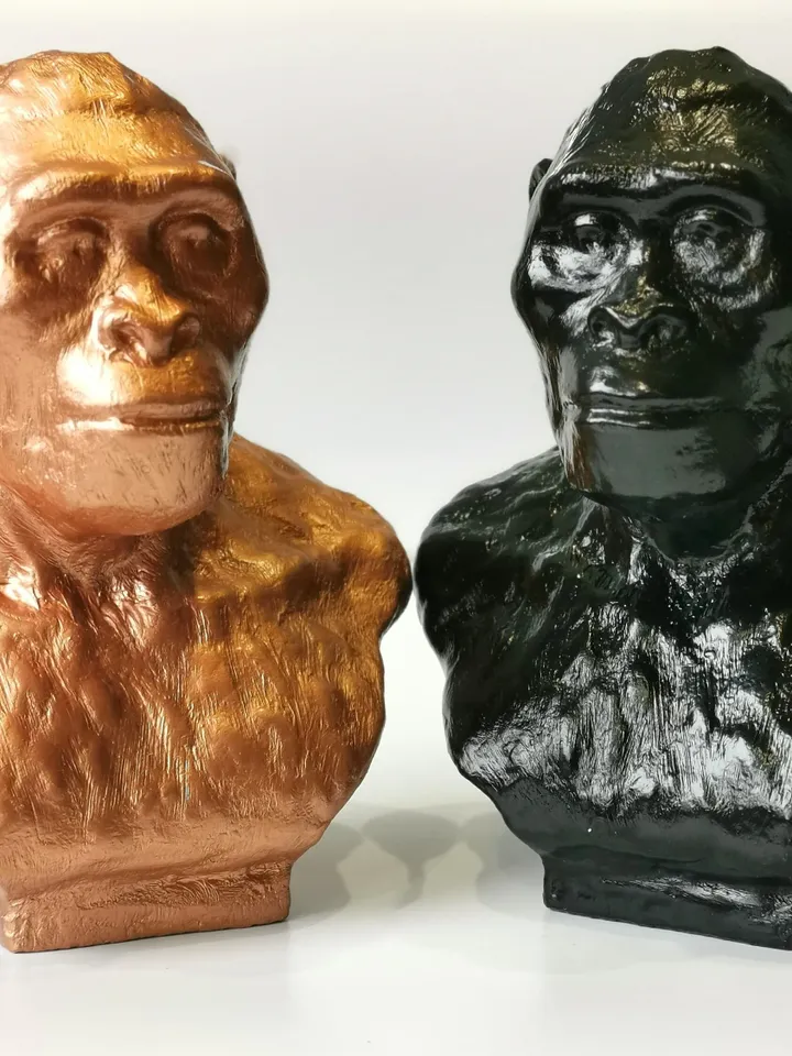 Australopithecus Africanus Bust, 3d printed Australopithecus Afar Sculptural Reconstruction, Museum Quality Anthropology Model for Study