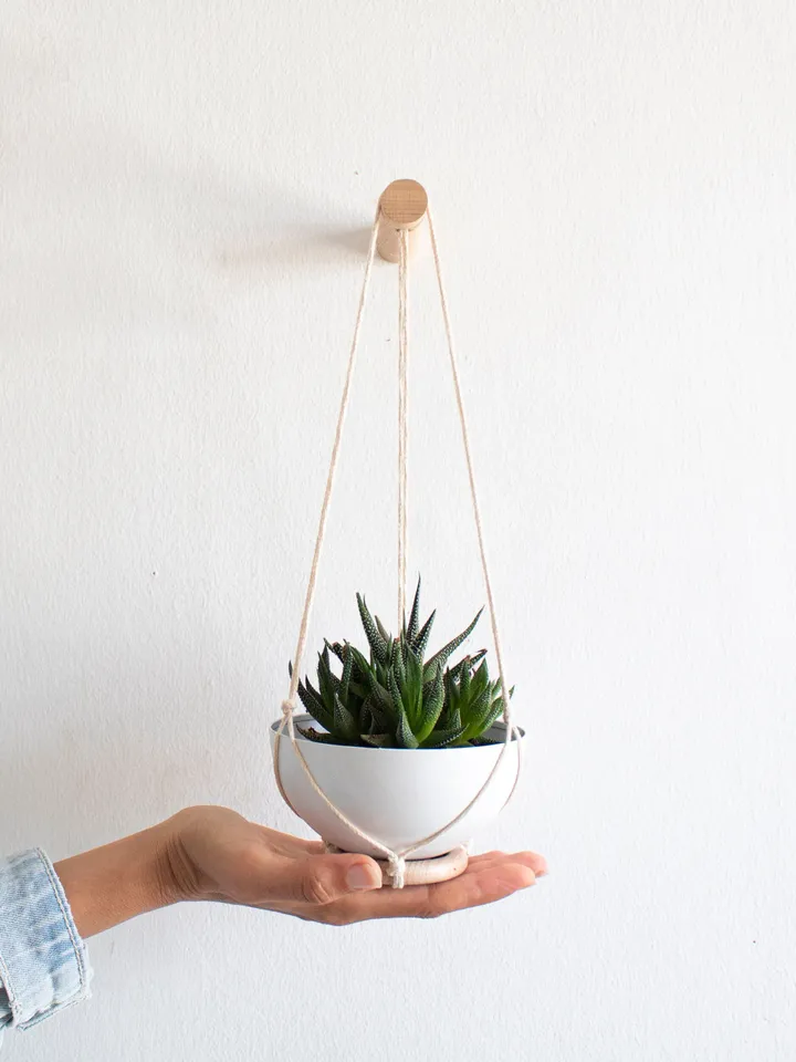 Mini Succulent Planter, Small Plant Hanger, Wall Hook For Hanging Plants, Aluminum Planter, Wall Plant holder, Small Plant Hanger