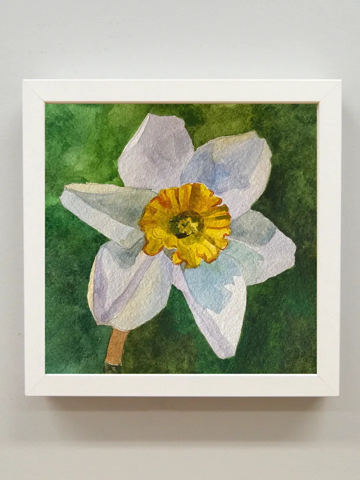 Blooming Daffodil original painting watercolor art botanical artwork wall art