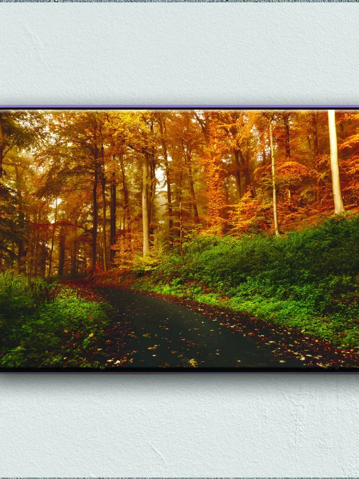 Forest Landscape Print on Canvas , Floating Frame Option, Modern Wall Art, Extra Large Canvas Wall Art