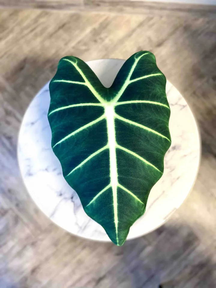 Alocasia Frydek pillow / Alocasia Micholitziana / Green Velvet cushion / plant pillow / leaf pillow / urban jungle decor / plant gift
