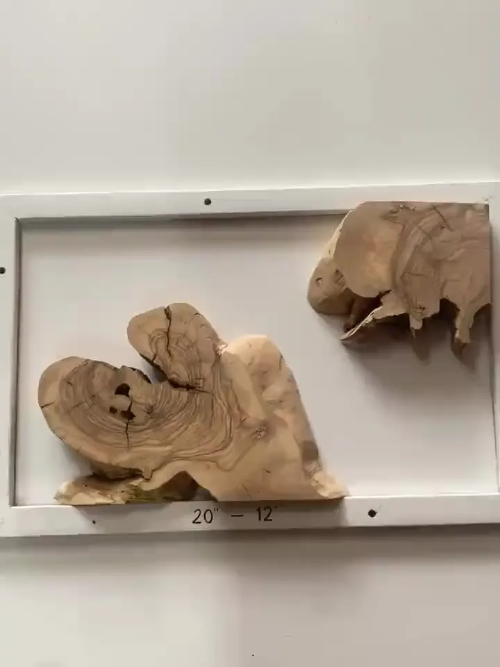 Olive Wood Cookies, Epoxy Resin Wood, Live Edge Wood Slab, Raw Edge Wood Slab, READY TO SHIP