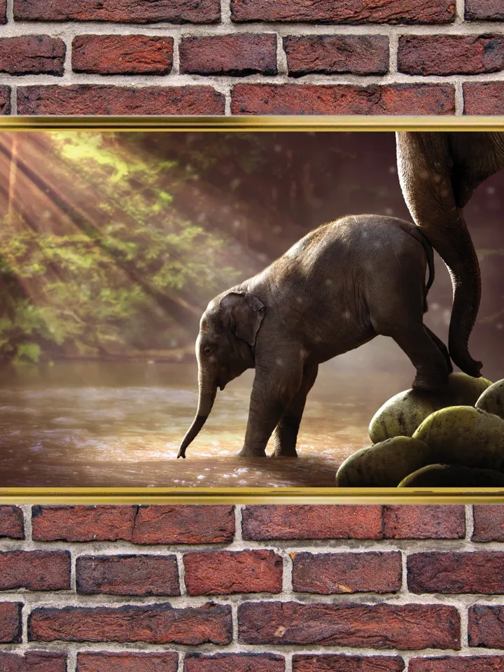 Baby Elephant Print on Canvas , Floating Frame Option, Modern Wall Art, Extra Large Canvas Wall Art