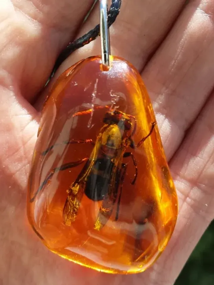 Real insect Bee in Amber Epoxy Resin Keychain Insect taxidermy keyring honeybee Nature Key chain ring Gift to friends