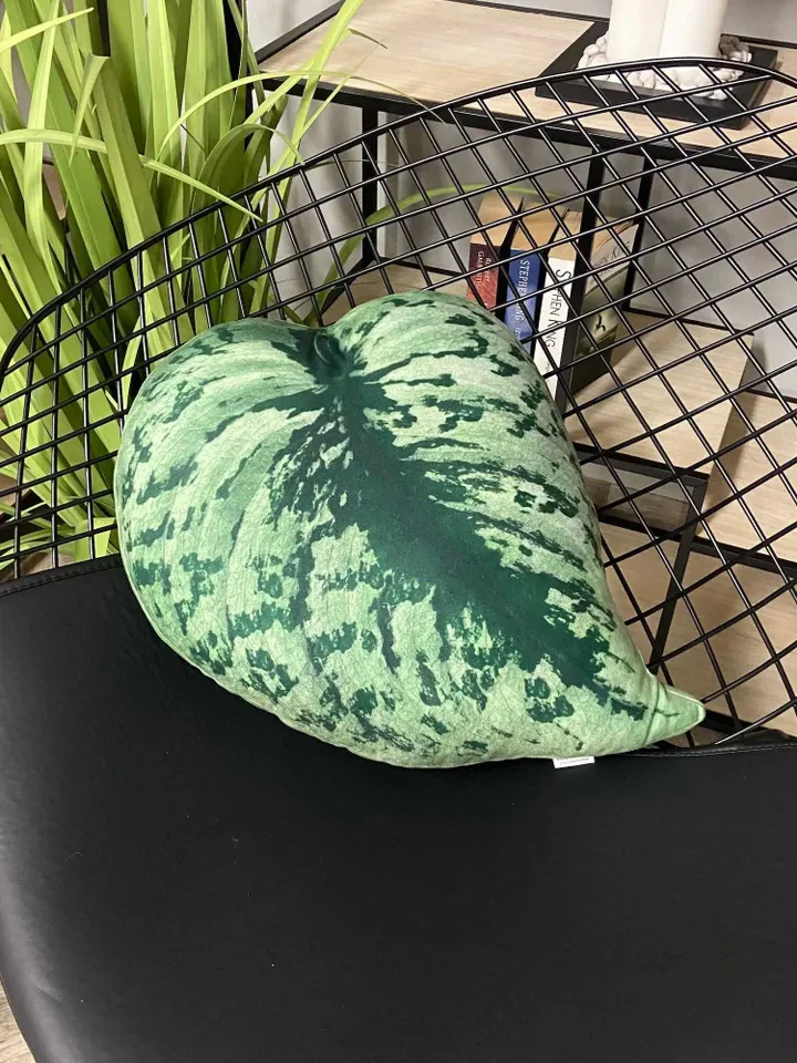 Scindapsus plant pillow / scindapsus cushion / scindapsus pictus / scindapsus exotica / plant pillow / plant lover gift / plant cushion