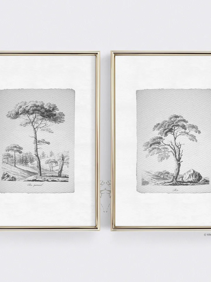 Pine Tree Sketch Vintage Prints set of 2, Nature Drawing, Printable Wall Art Decor, Digital Download | 117 S2
