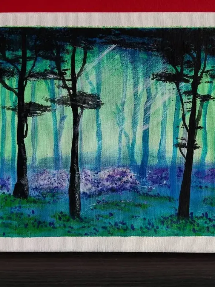 Acrylic - Somni Boscà