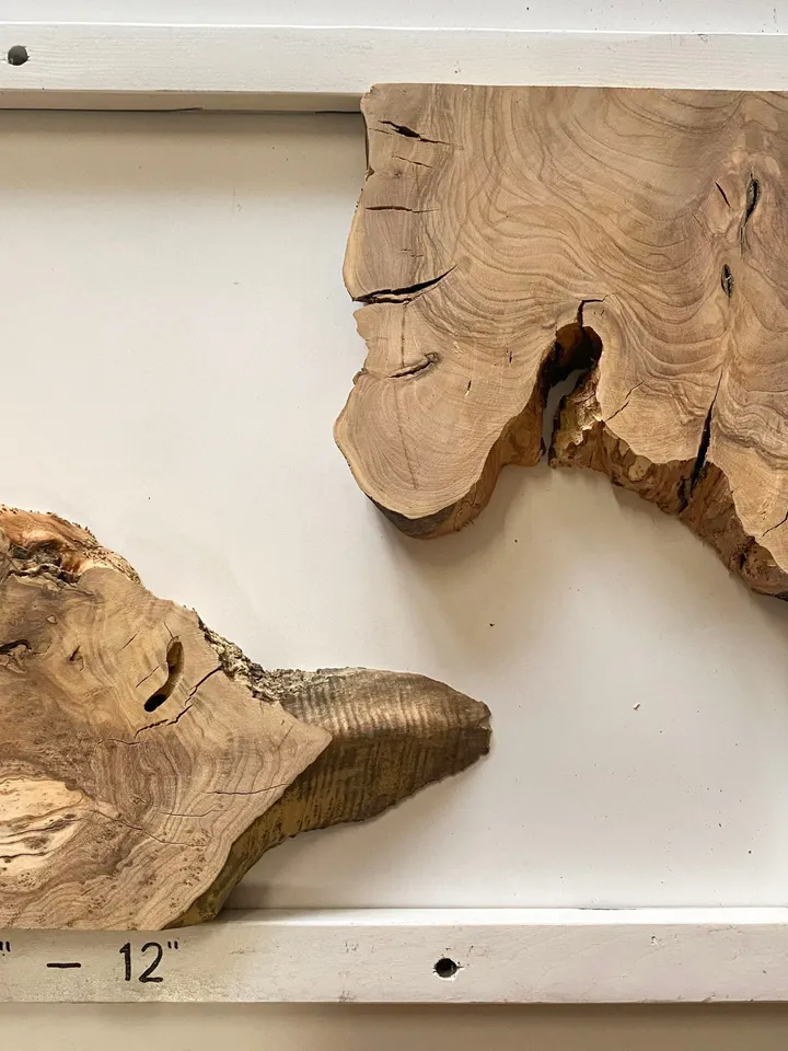 Olive Wood Cookies, Epoxy Resin Wood, Live Edge Wood Slab, Raw Edge Wood Slab, READY TO SHIP
