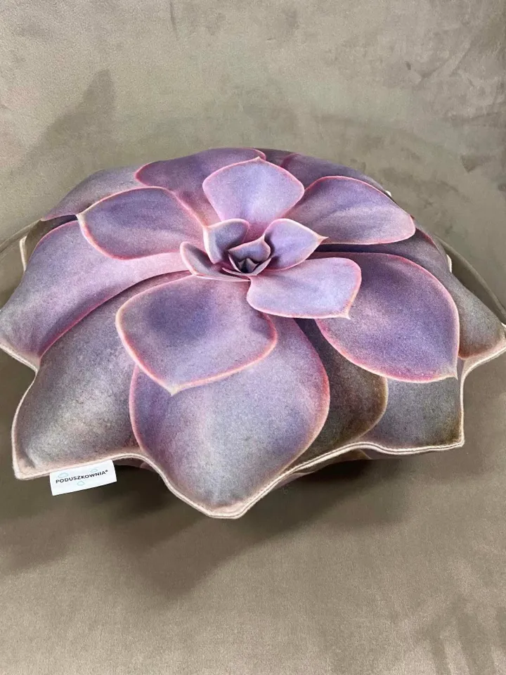 small Succulent pillow /  echeveria pillow / Perle von Nürnberg succulent / succulent cushion / plant pillow / purple succulent