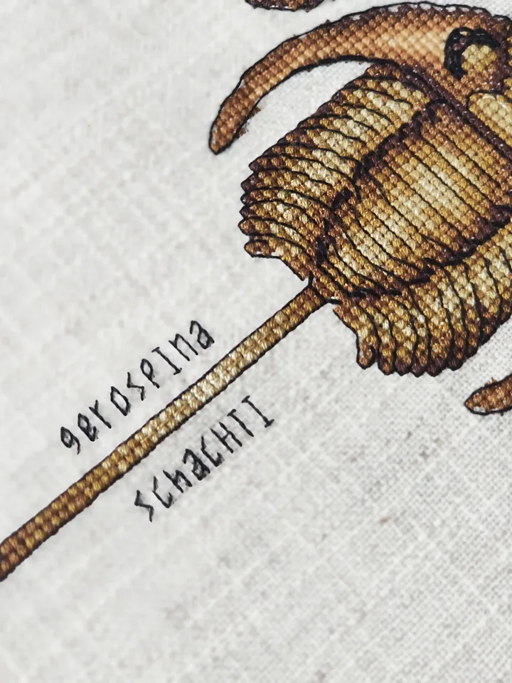 Completed Cross Stitch Trilobite fossil, Finished Cross Stitch picture, Paleontology Cross Stitch design, Modern xstitch