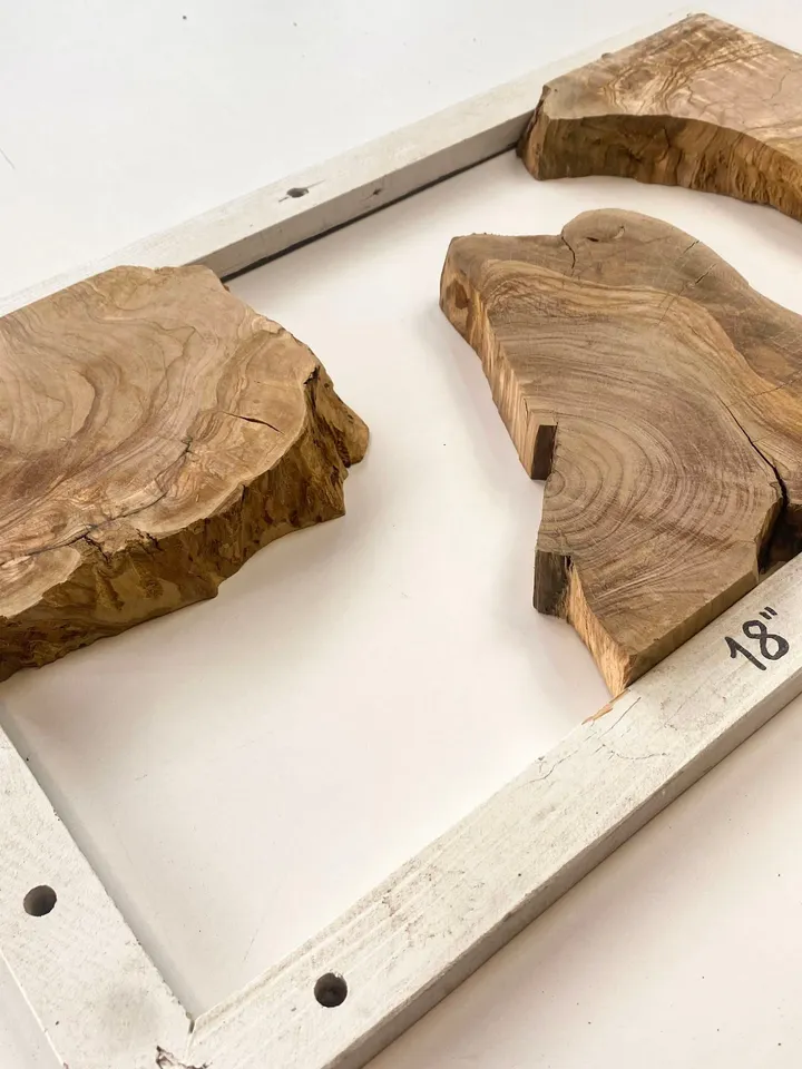 Olive Wood Cookies, 18"x10"x1.2" Live Edge Wood Slab, Epoxy Resin Wood, Raw Edge, Burl Wood, READY TO SHIP