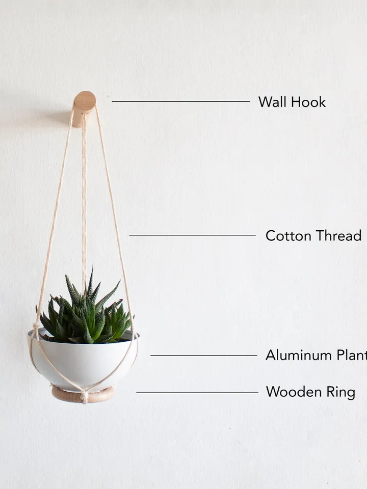 Two Mini Succulent Planters , Small Wall Planter, Wall Plant Hanger, Mini Planter, Succulent Wall Hanging, Cactus Hanger